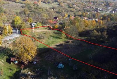 Teren de 5404 mp, în Vernești - 6