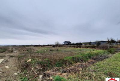 Teren intravilan 12216 mp in Vetis construibil - 4