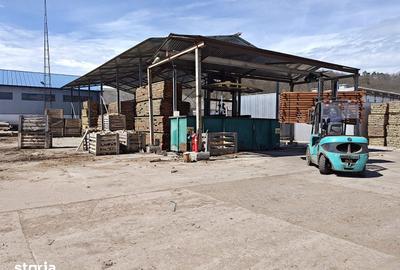 Spațiu comercial, de 43,000 mp, în Voila - 16