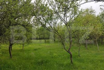 Teren de 6500 mp, în Gurasada - 4