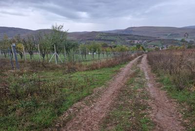 Spațiu comercial, în Turea - 1