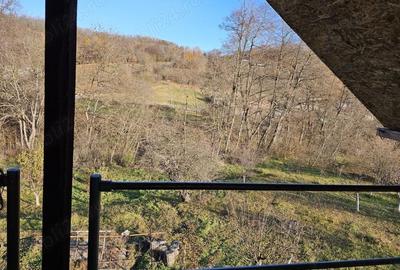 Casă cu 3 camere cu Teren 6772 Mp în Ursoaia - 1