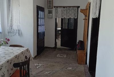 Casă cu 4 camere cu Teren 7400 Mp în Aciuța - 7