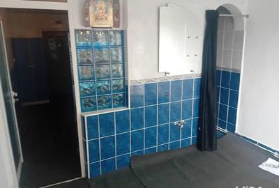 Garsoniera 30mp parter ultracentrala semirenovata - 3