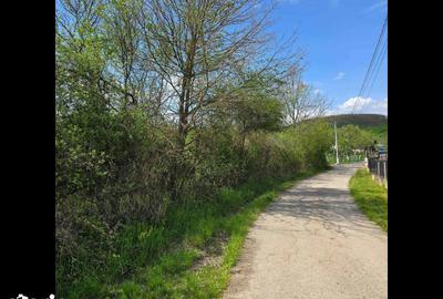 Teren de 2200 mp, în Ilia - 5