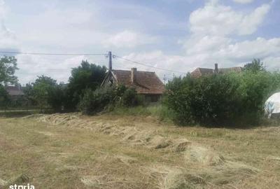 Casă cu 3 camere cu Teren 2000 Mp în Central - 7