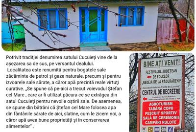 Casă cu 3 camere în Cucuieți - 8