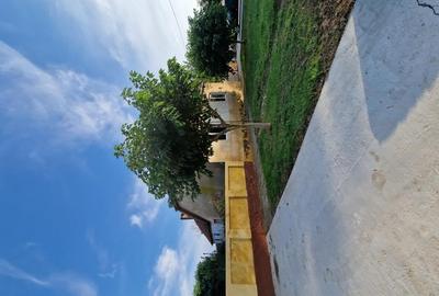 Sanmartinu Sarbesc- Casa individuala- 1370 mp teren Sanmartinu Sarbesc- Casa individuala- 1370 mp teren - 4