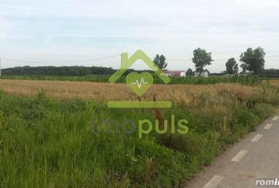 ? Teren Giurgiu, sat. Podisor, com. Bucsani? - 2