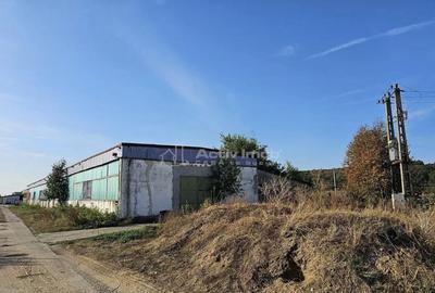 Hala industriala (1000 mp) si teren (4000 mp), Scornicesti, - 6
