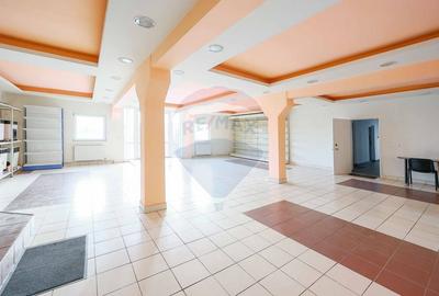 Spațiu industrial, de 500 mp, în Vest - 6