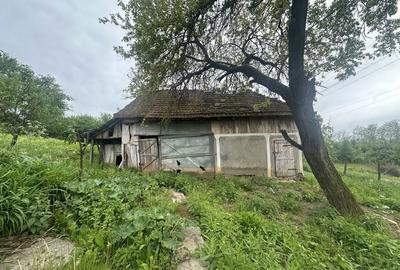 Spațiu comercial, în Brusturi - 2