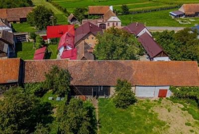 Casa saseasca cu gradina de VANZARE/ Bogata Olteana/ Hoghiz - 20