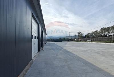 Hala noua 555mp, curte betonata 1000mp, zona de est, de inchiriat - 5
