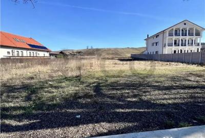 Teren în Băile Felix - 3