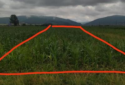 Teren de 2900 mp, în Stupinii Prejmerului - 3