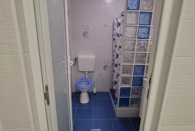 Casa individuala 4 camere - curte 447 mp – Rahova – 0% comision - 9