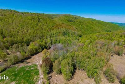Casă cu 7 camere cu Teren 30200 Mp în Negreni - 2