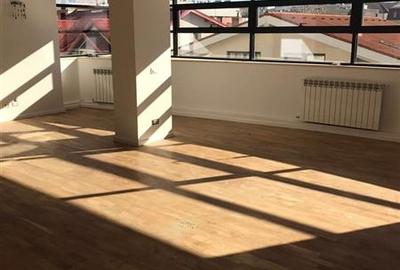 Birou de inchiriat langa Parcul Herastrau - Penthouse cu terasa - 9