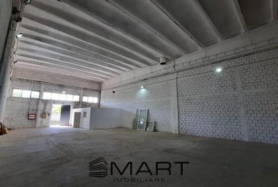 Spațiu industrial, de 800 mp, în Turnișor - 1