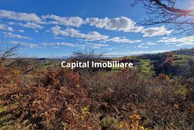 Teren de vanzare in Gro?i, Maramure?, 55 ari - 7