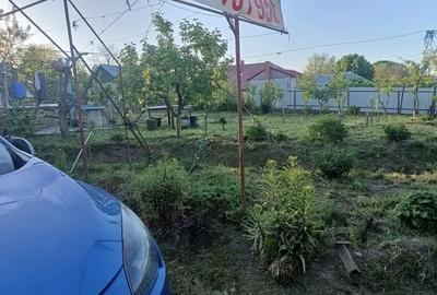 Casă cu 6 camere în Dumbrava (Gura Văii) - 3