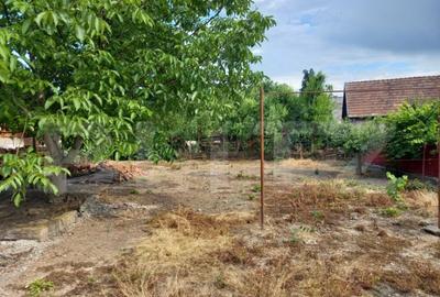 Casa renovabila cu teren de 800mp in Targu Mures - 1