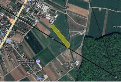 Teren în Ciolpani - 4