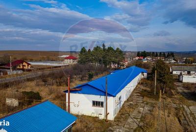 Spațiu comercial, de 800 mp, în Traian - 1