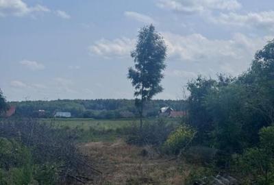 Teren generos, intravilan, 13.518 mp, Marginea - 3