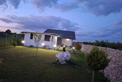 Casă cu 4 camere cu Teren 500 Mp în Trivale - 10
