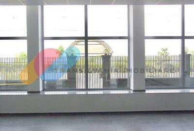 Spațiu comercial, de 350 mp, în Mărăști - 3