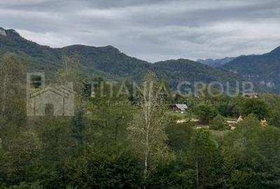 Teren intravilan, cu PUZ, Bran Tohanita, pârâu, pădure și priveliște de vis Teren intravilan, cu PUZ, Bran Tohanita, pârâu, pădure și priveliște de vis - 4