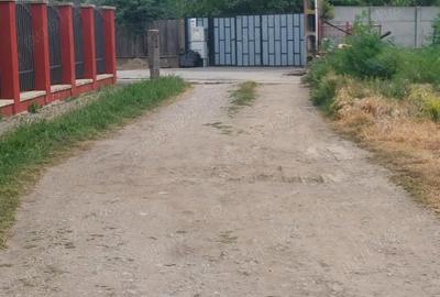 Teren de 1192 mp, în Dumitrana - 7