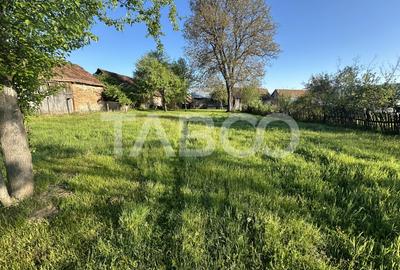 Casa la Tara 3 camere 80 mpu teren 3000 mp Venetia de Sus Fagaras - 14