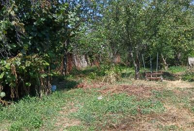 Casă cu 5 camere cu Teren 2500 Mp în Băicoi - 3