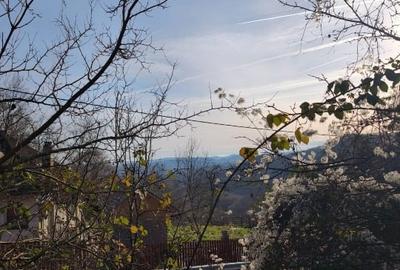 Teren intravilan Breaza 4,000mp cu  utilitati. Panorama superba. Intimitate. - 10