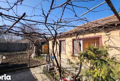 Casă cu 3 camere decomandat cu Canalizare în Viile Noi - 2