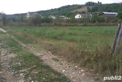Teren de 3000 mp, în Budeasa - 2