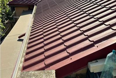 Casă 5 camere Coiciu - 14