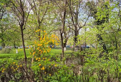 Apartament cu 2 camere semidecomandat, mobilat în Drumul Taberei - 1