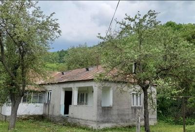 Casă cu 4 camere în Vulcăneasa - 4