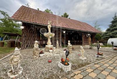 Pensiunea Polyana – business la cheie în inima stațiunii balneoclimaterice Bazna - 18