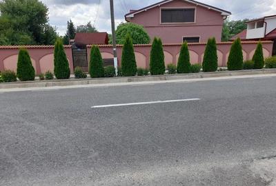 Casă cu 1 camere cu Teren 1000 Mp în Scrioaștea - 1