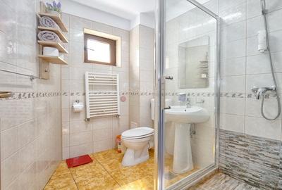 Pensiune Turistica Montana - 11