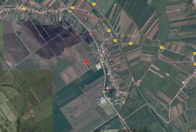 Teren extravilan, Cotofenii din Fata, jud Dolj -id 6954-0... - 8