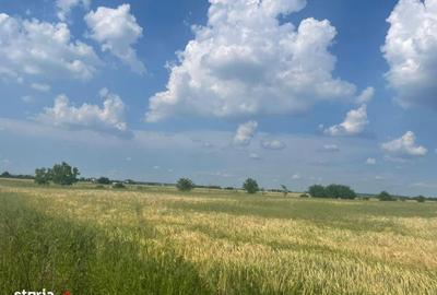 Teren de 954 mp, în Fundeni - 6