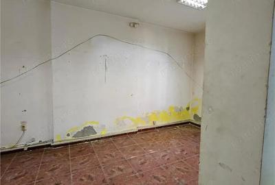 Doua case vecine, cu vad, in Bucure #537;ti, Tineretului, Parcul Carol - 3