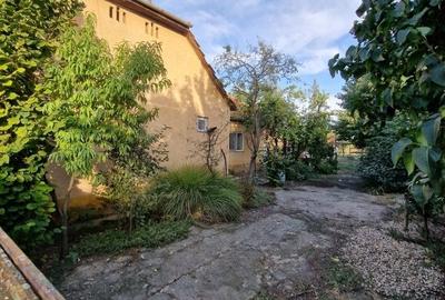 Sanmartinu Sarbesc- Casa individuala- 1370 mp teren - 4