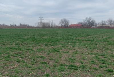 Vanzare Teren extravilan Afumati Autostrada A0 - 2